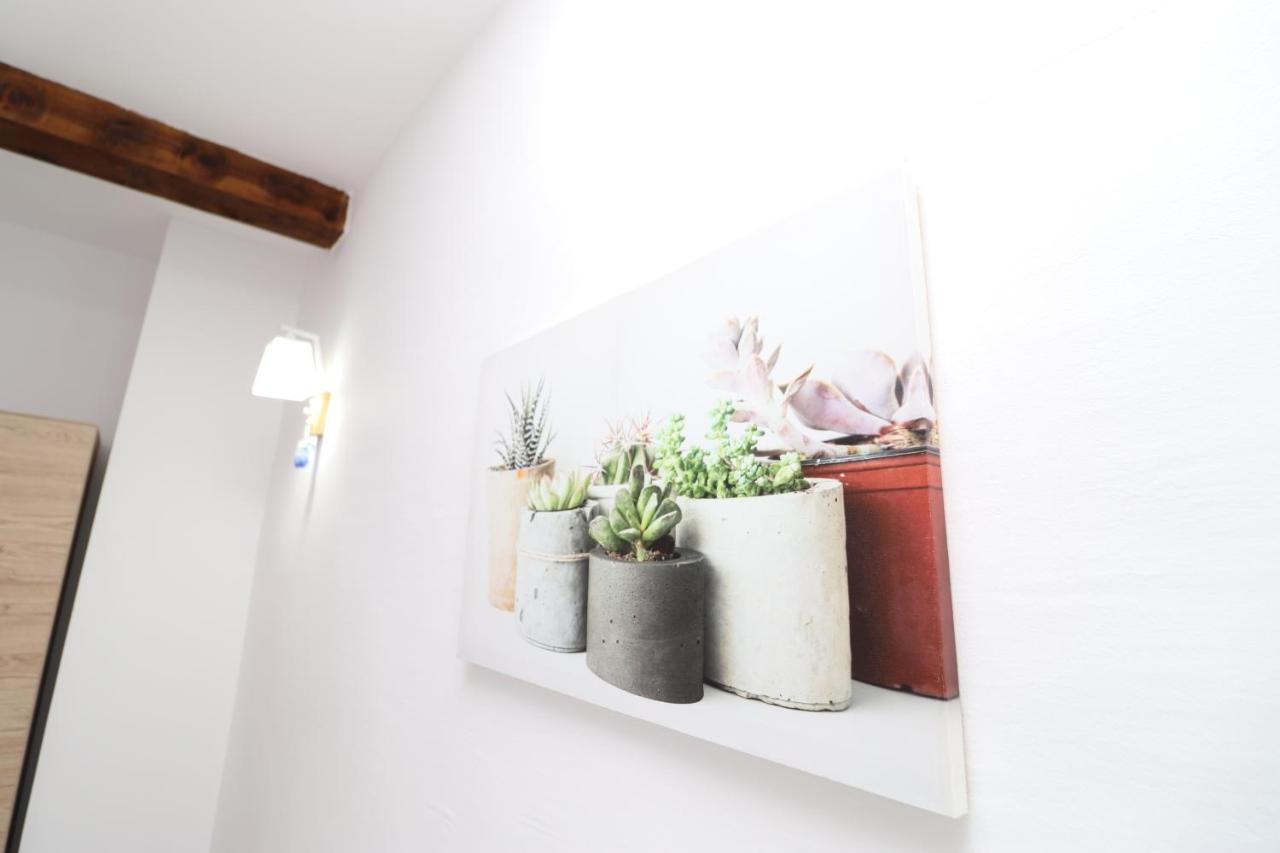 Gaia Bed & Breakfast Vlore Bagian luar foto