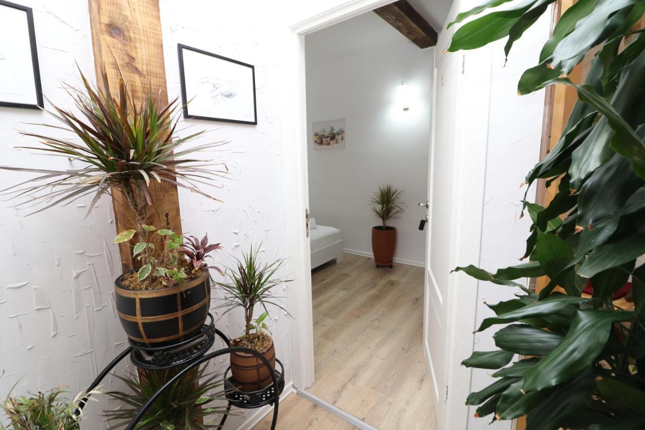 Gaia Bed & Breakfast Vlore Bagian luar foto